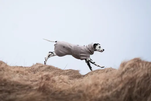 Bilde av Non-stop dogwear Drying coat  Sand